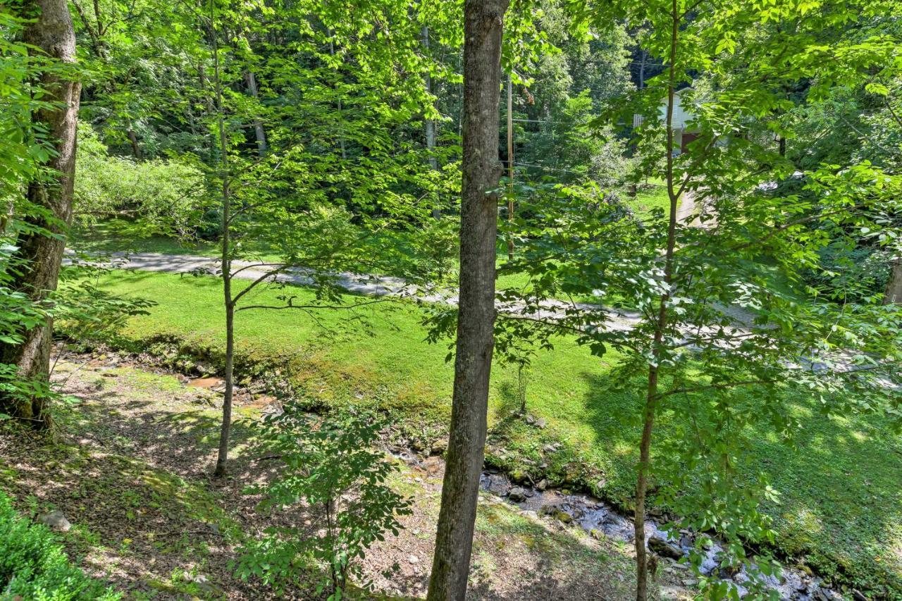 Tranquil Creekside Cottage With Deck And Lanai Franklin Extérieur photo